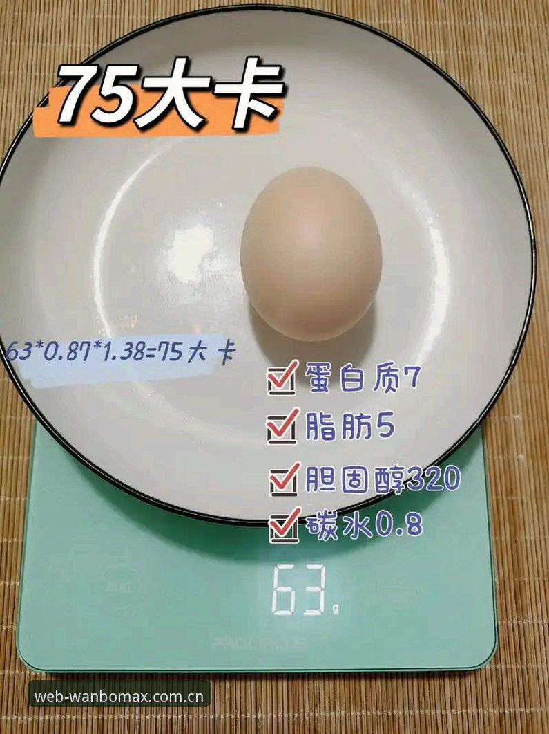 72克，约等于一枚鸡蛋的重量，这是2026世界杯上彪马球员版球衣的官方数据。截至小组赛第二轮，已有4件这样的球衣在对抗中被撕破，全部出自彪马赞助的球队，全部由对手拉拽造成。而同期其他品牌的球衣，在同样的对抗强度下，没有一件出现破损。一个数字的对比，让关于"极致轻量化"的故事有了另一面。